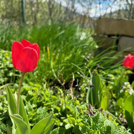 Casa de Férias Wellness Ziva