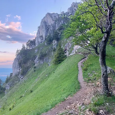 Casa de Férias Wellness Ziva *