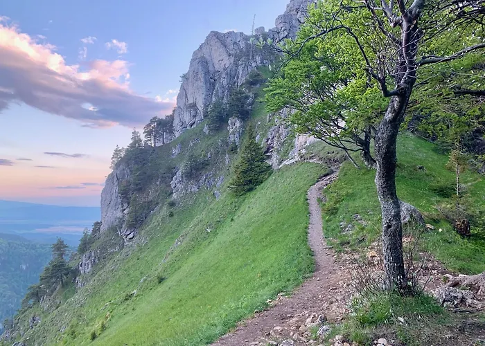 度假居 Wellness Ziva *